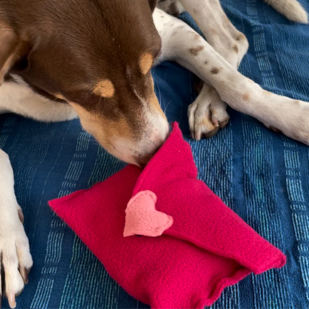For The Love Of Dog Love Letter Toy for Dogs (Pink) - Image 4