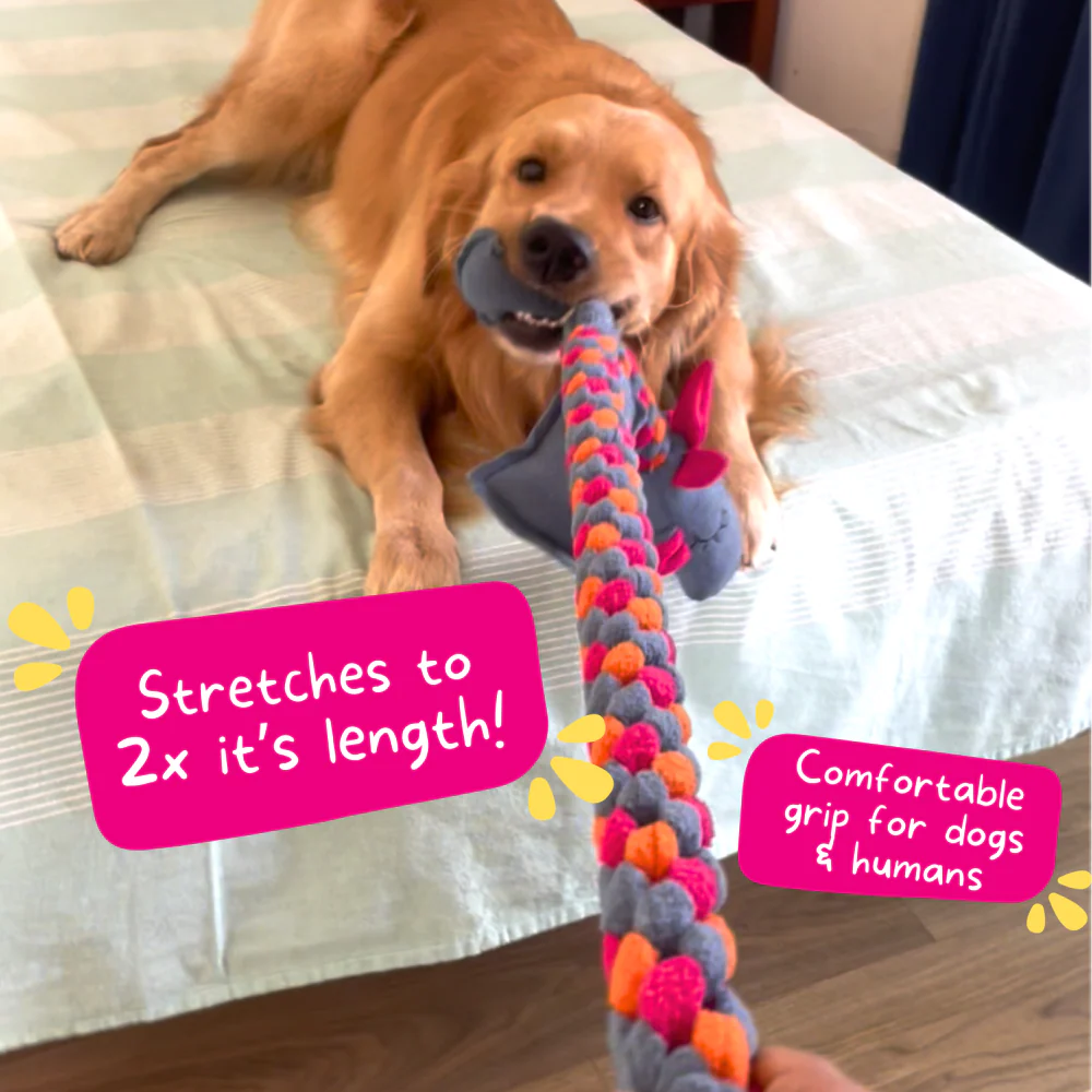 For The Love Of Dog Mrs Tugasaur Squeaky Toy for Dogs (Pink/Green/Grey) - Image 5
