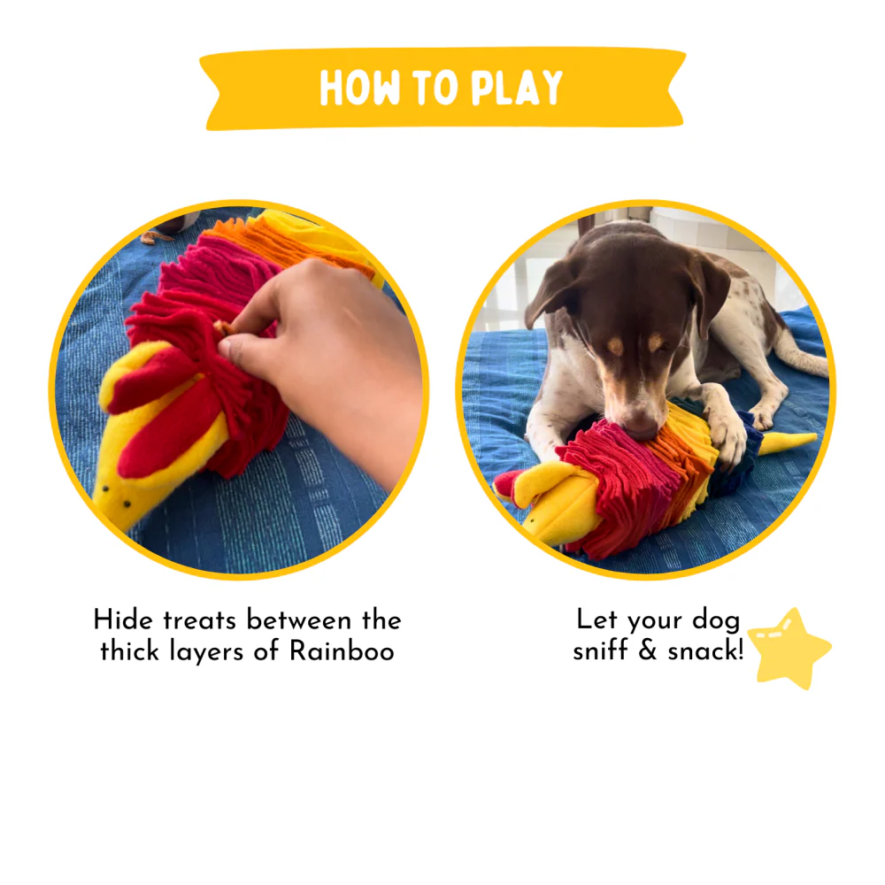 For The Love Of Dog Rainboo Snuffle Toy for Dogs - Image 4