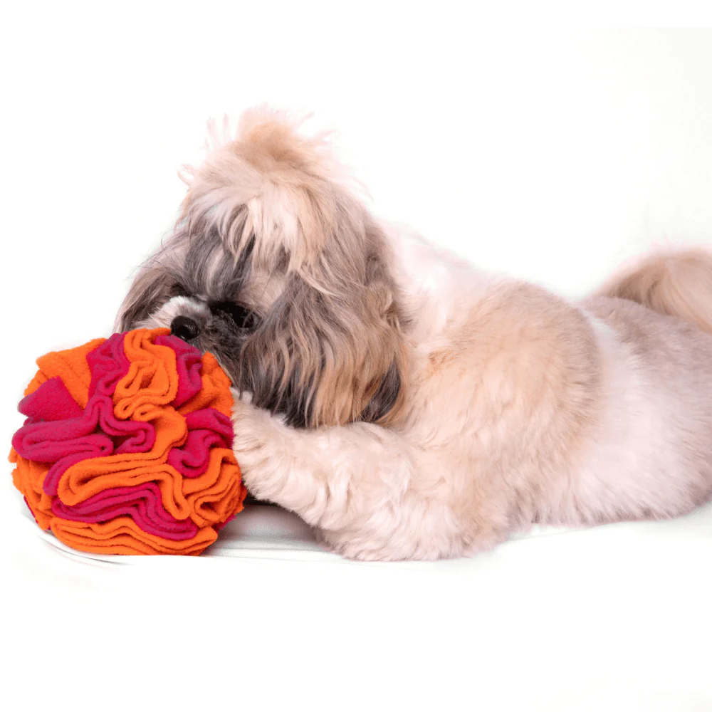For The Love Of Dog Sniffer Ball Toy for Dogs (Pink/Orange) - Image 4