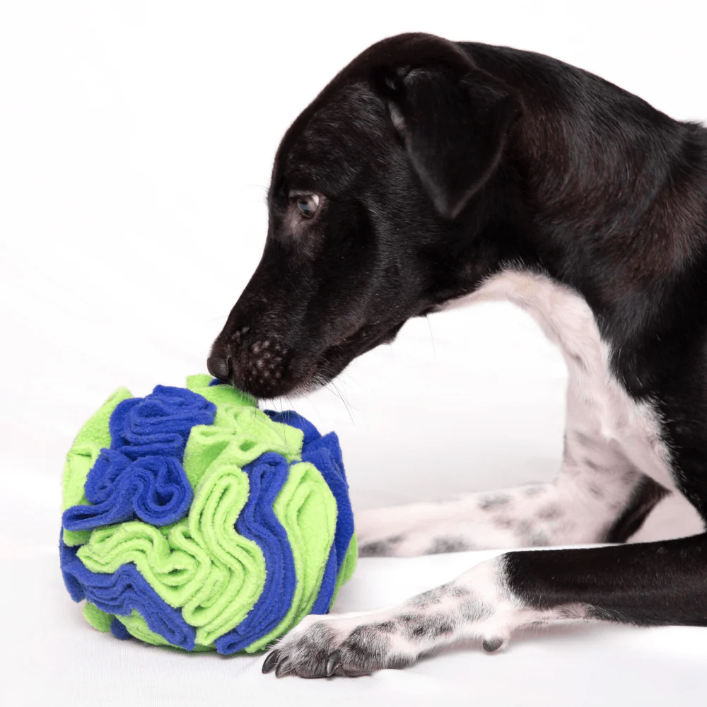 For The Love Of Dog Sniffer Ball Toy for Dogs (Pink/Orange) - Image 6
