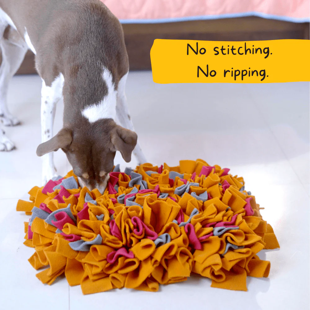 For The Love Of Dog Sun Kissed Sniffer Mat for Dogs - Image 6