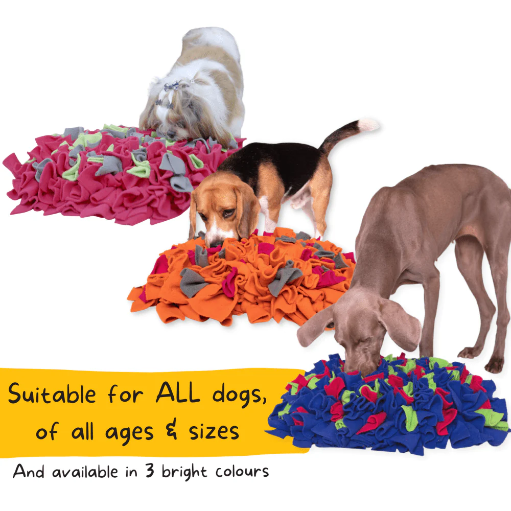 For The Love Of Dog Sun Kissed Sniffer Mat for Dogs - Image 7