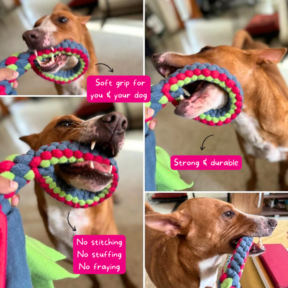 For The Love Of Dog Tug O Loop Chew Toy for Dogs (Blue/Green) - Image 3