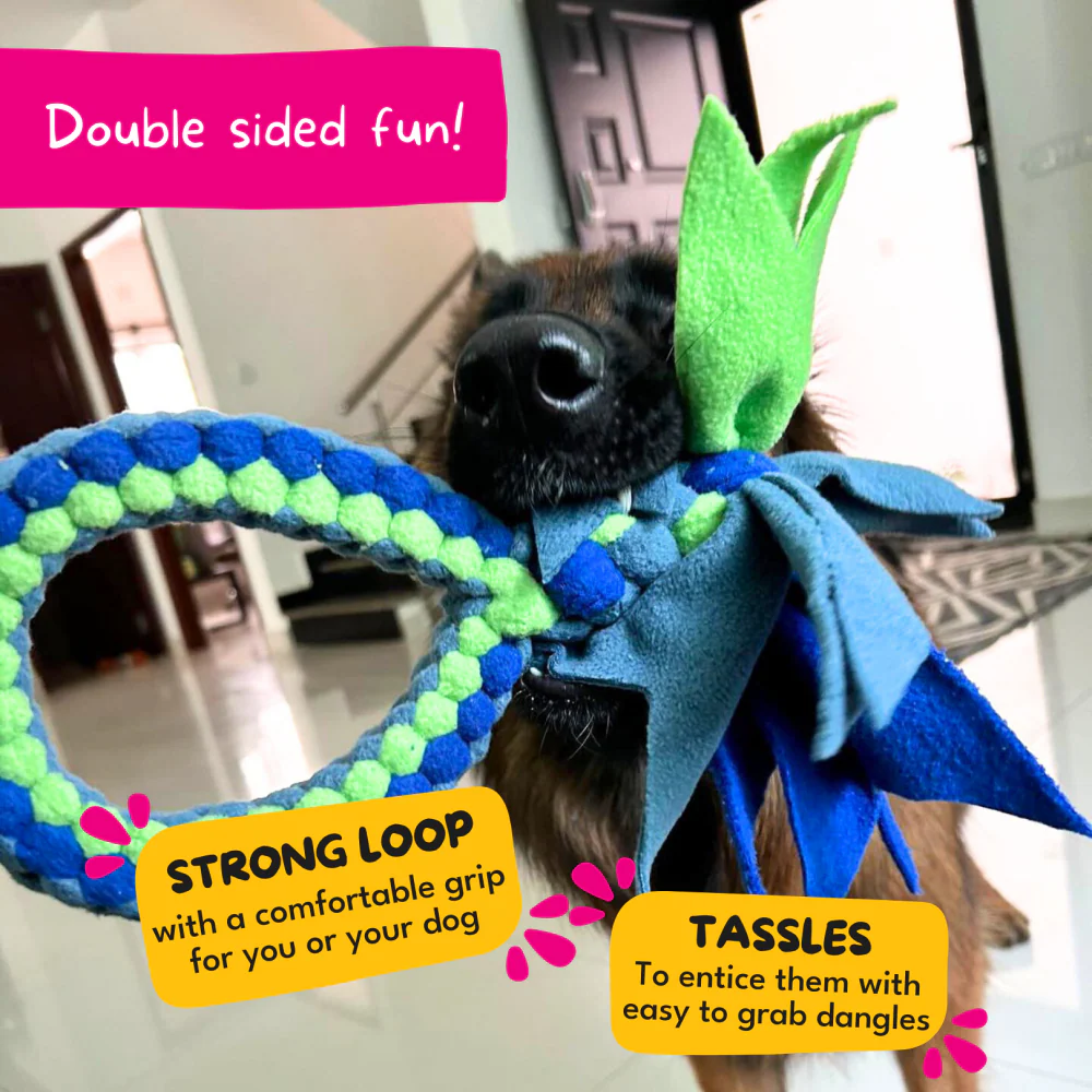 For The Love Of Dog Tug O Loop Chew Toy for Dogs (Pink/Green/Blue) - Image 4