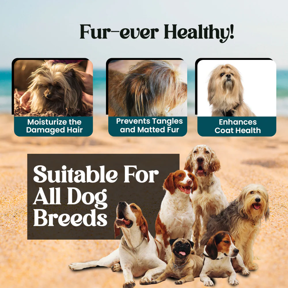 Forbis/Forcans Long Coat Aloe Shampoo for Dogs - Image 7