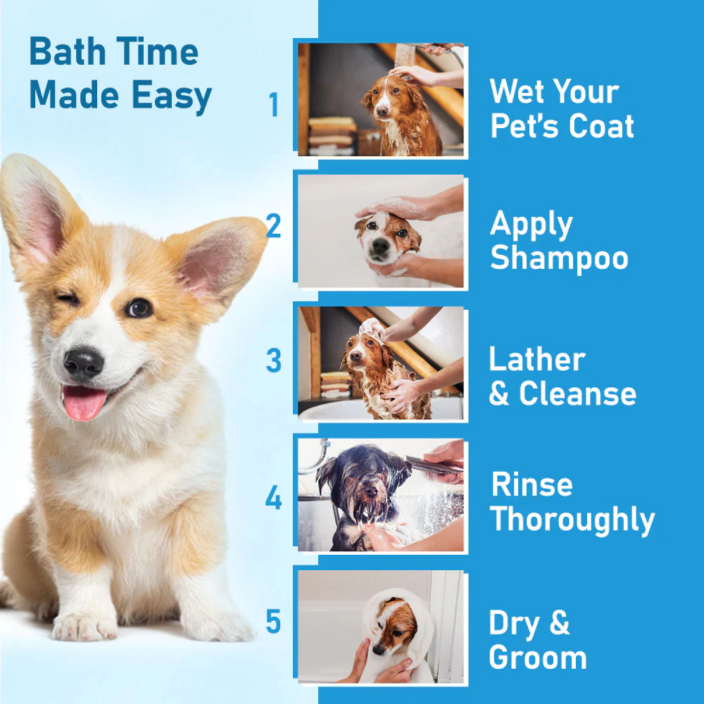 Forbis/Forcans Mild Olive Shampoo for Puppies & Kittens - Image 5