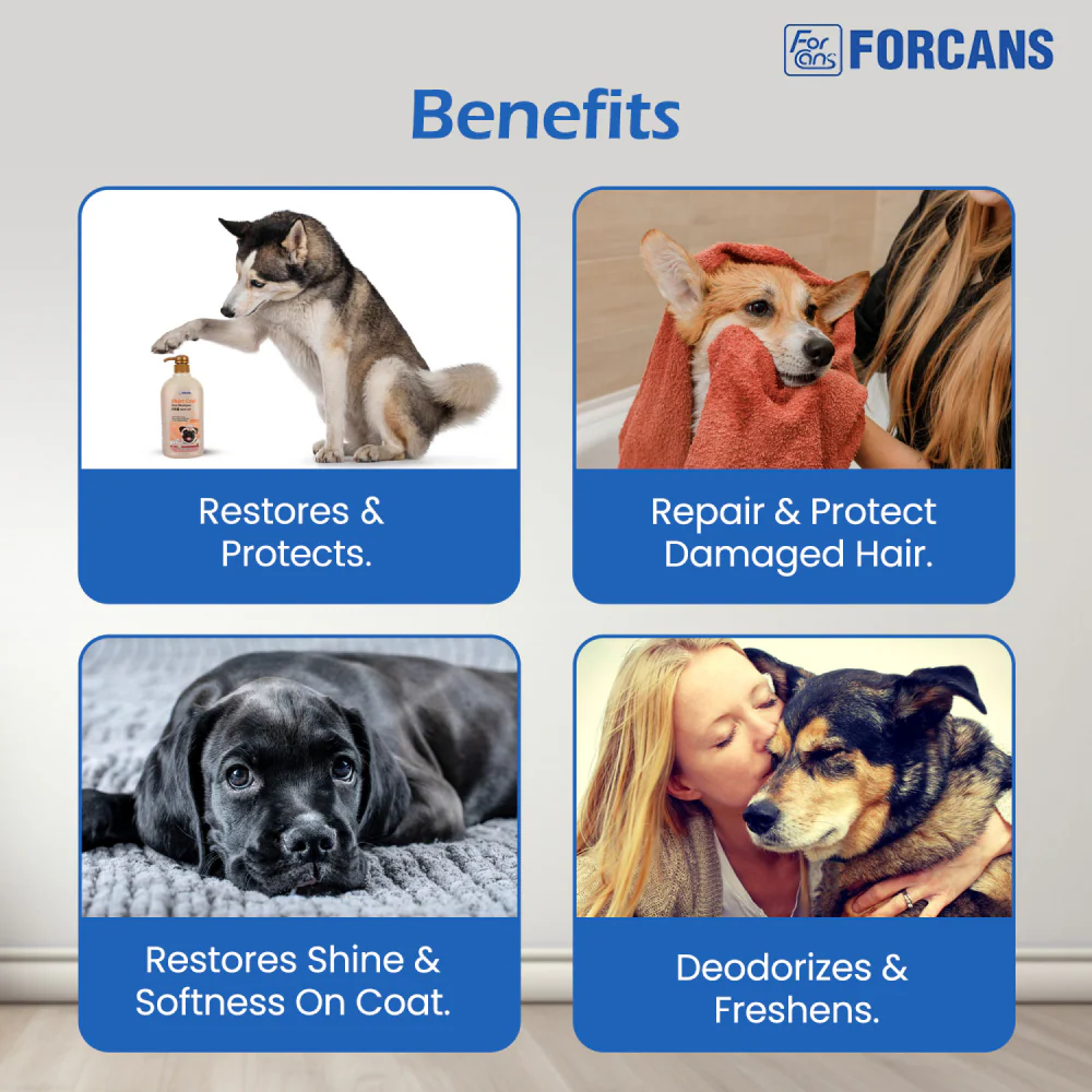 Forbis/Forcans Short Coat Aloe Shampoo for Dogs - Image 7