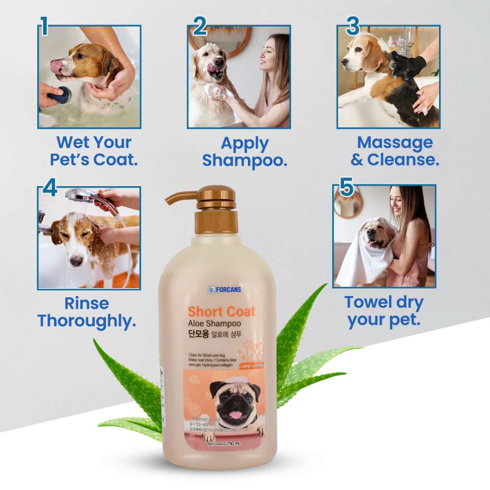 Forbis/Forcans Short Coat Aloe Shampoo for Dogs - Image 8