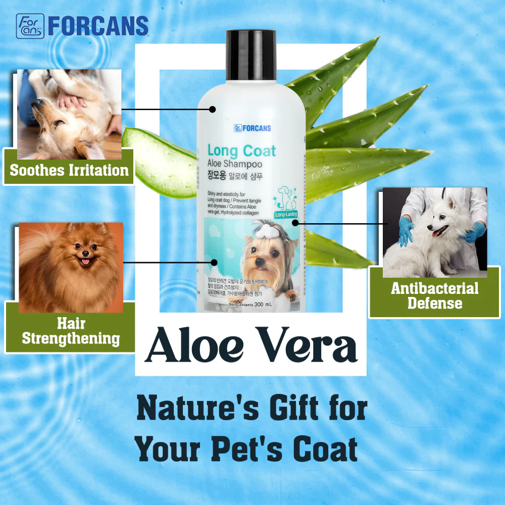 Forcans Aloe Long Coat Shampoo for Dogs - Image 2