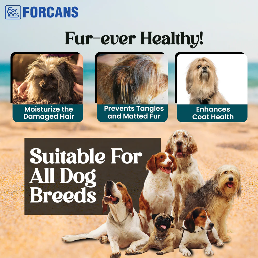 Forcans Aloe Long Coat Shampoo for Dogs - Image 4