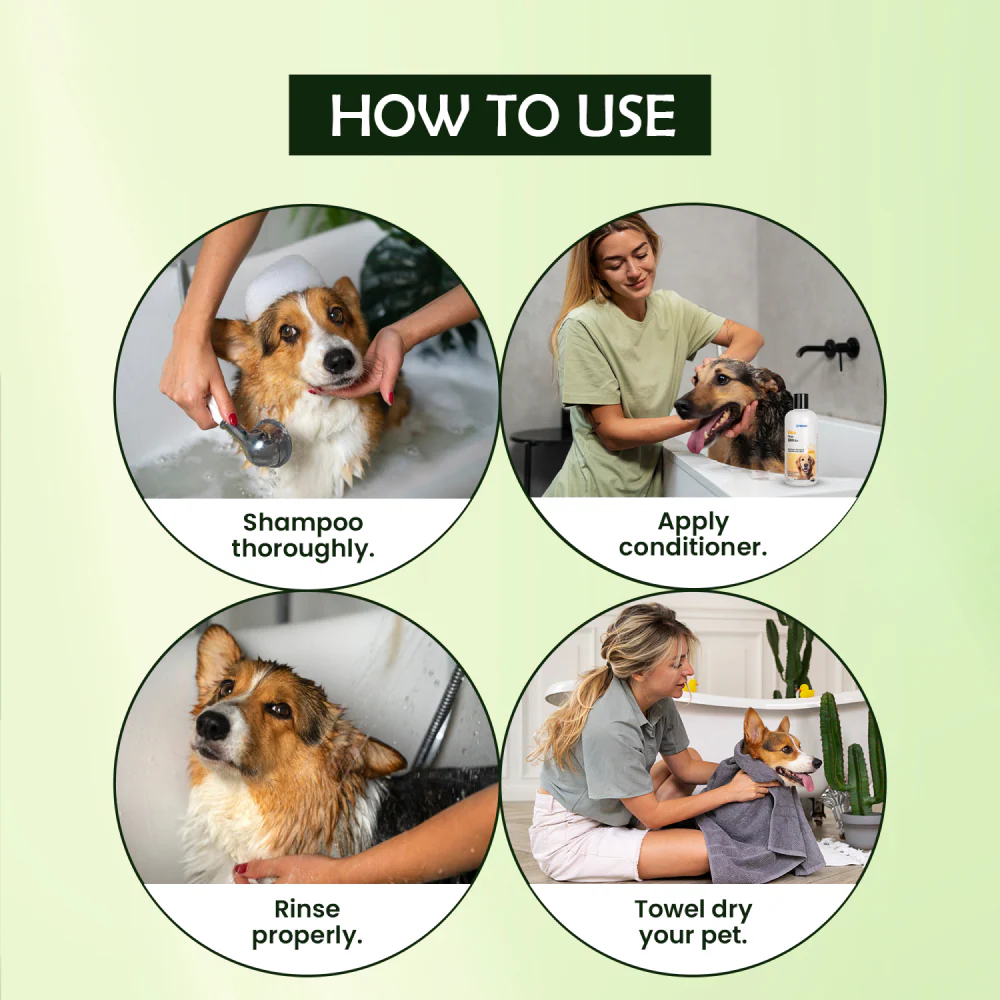 Forcans Aloe Rinse Conditioner for Dogs - Image 3