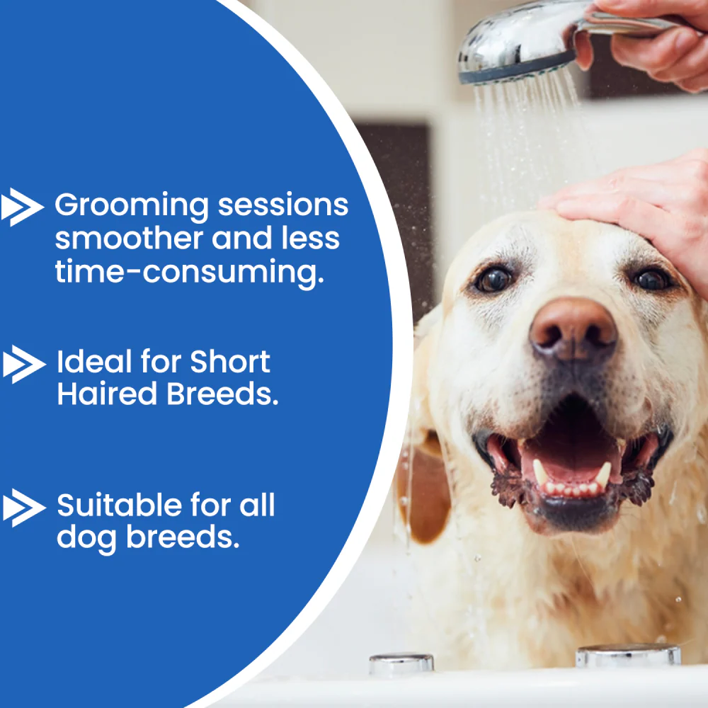Forcans Aloe Short Coat Shampoo for Dogs - Image 5