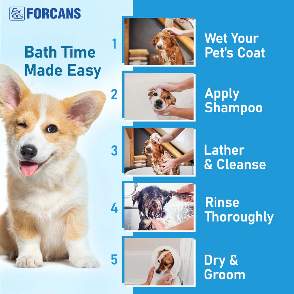 Forcans Mild Olive Shampoo for Dogs - Image 3