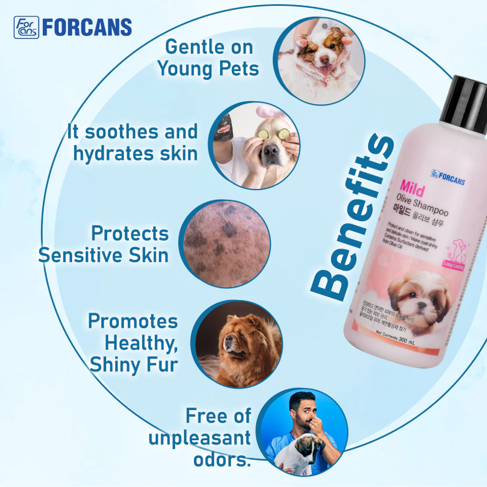 Forcans Mild Olive Shampoo for Dogs - Image 4