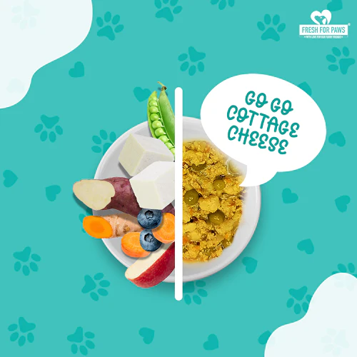 Fresh For Paws A Green Affair Grain Free & Vegan and Go Go Cottage Cheese and Oh My Greens Dog Wet Food Combo - Image 9