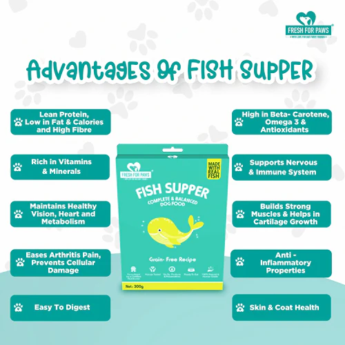 Fresh For Paws Chicken Pot Pie and Fish Supper and Lamb On The Go Wet Dogs Food Combo - Image 12