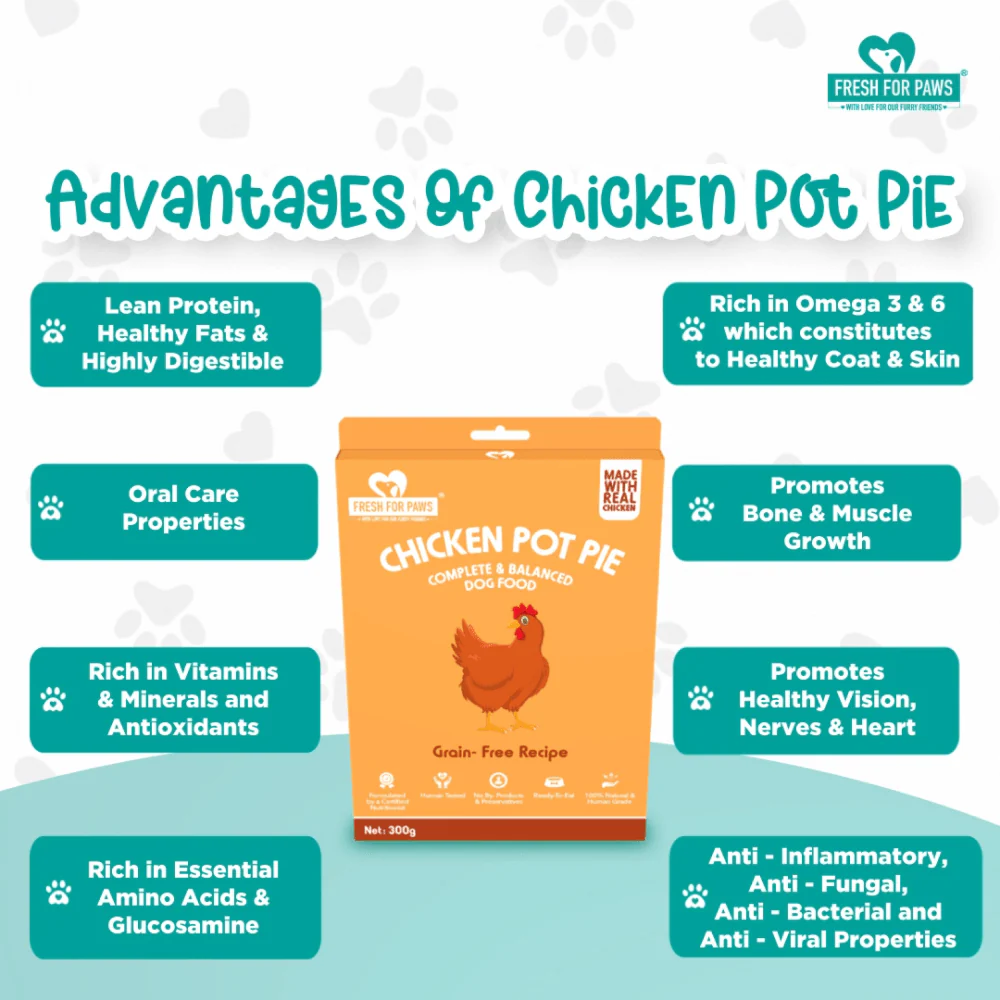 Fresh For Paws Chicken Pot Pie Wet Food for Dogs (300g) - Image 6