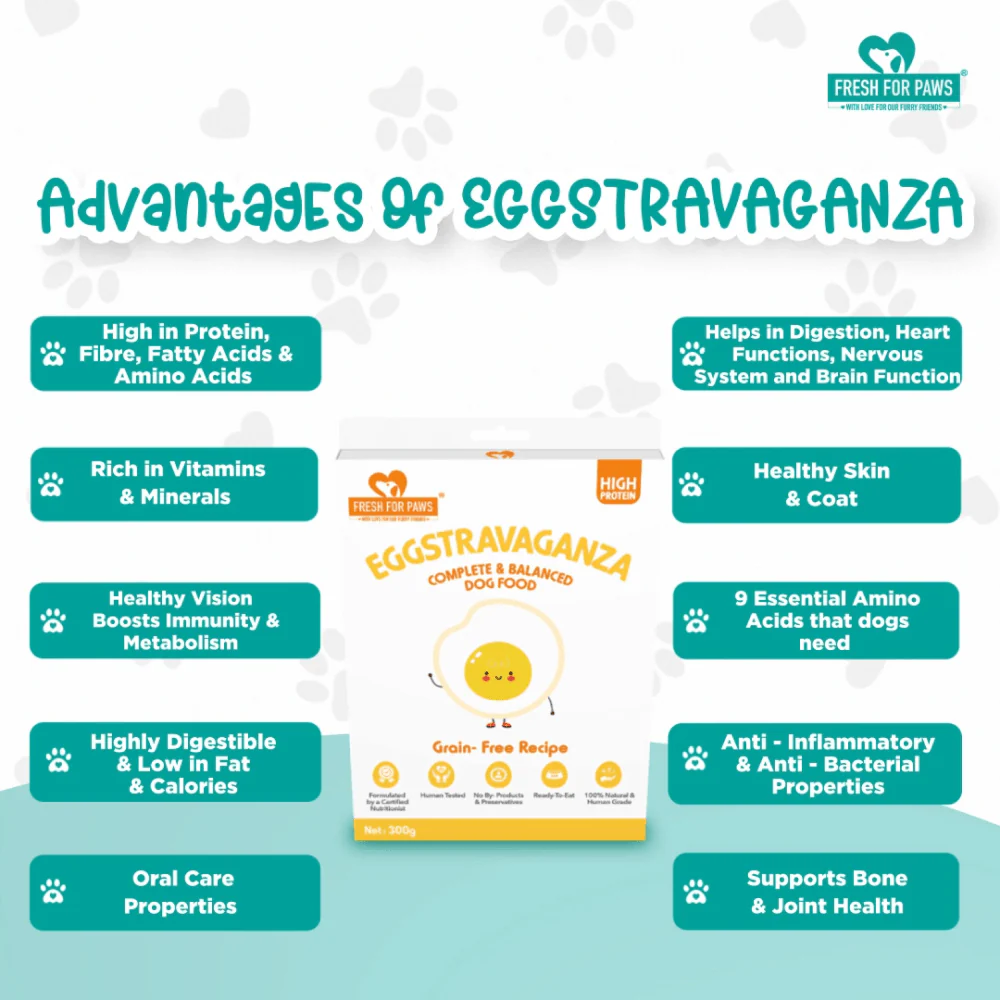 Fresh For Paws Eggstravaganza Dog Wet Food (300g) - Image 6