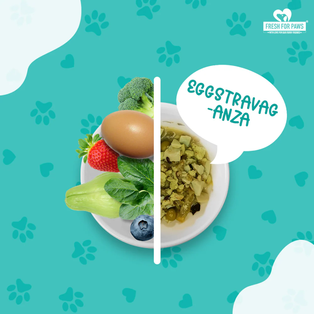 Fresh For Paws Eggstravaganza Dog Wet Food (100g) - Image 2