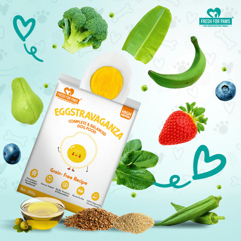 Fresh For Paws Eggstravaganza Dog Wet Food (100g) - Image 3