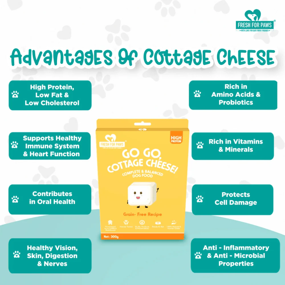 Fresh For Paws Go Go Cottage Cheese Dog Wet Food (300g) - Image 6