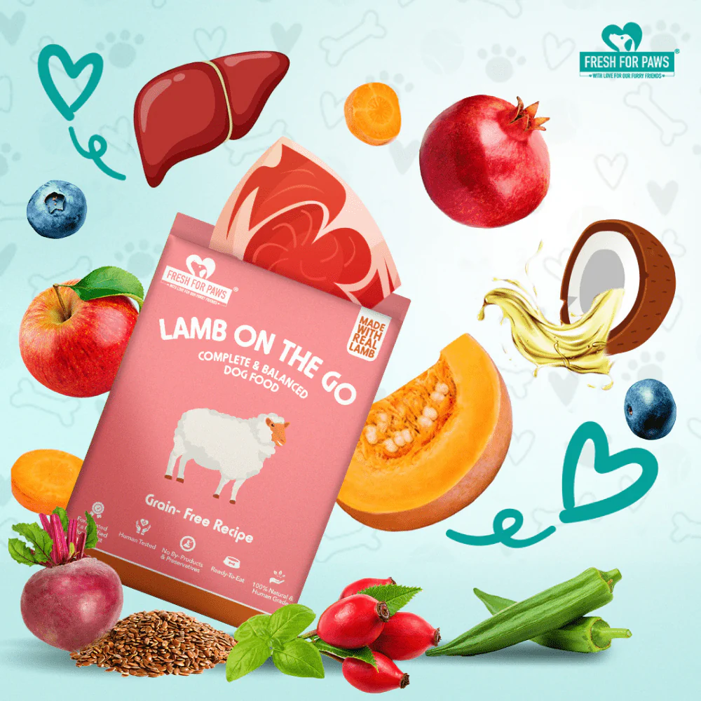 Fresh For Paws Lamb On The Go Dog Wet Food (300g) - Image 3