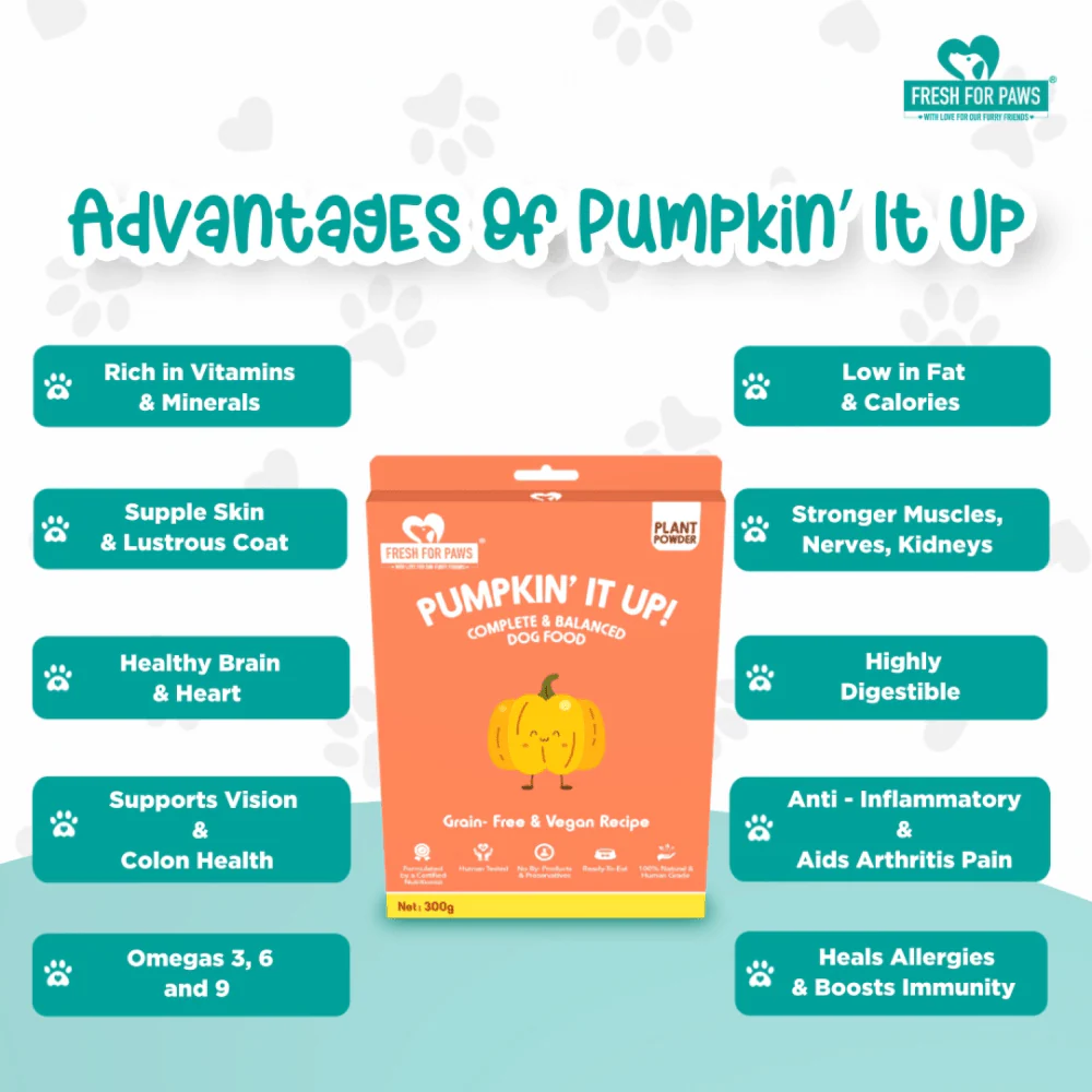 Fresh For Paws Pumpkin It Up Dog Wet Food (300g) - Image 6