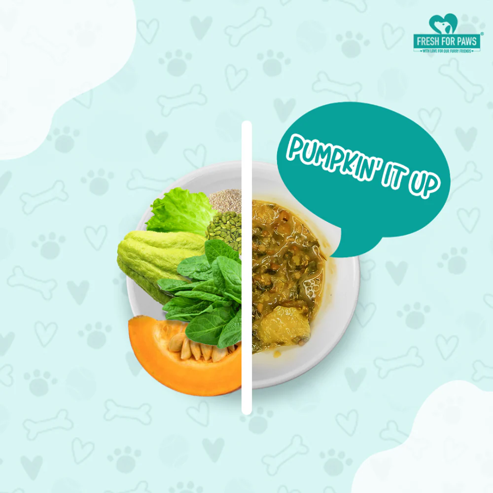 Fresh For Paws Pumpkin It Up Dog Wet Food (300g) - Image 2