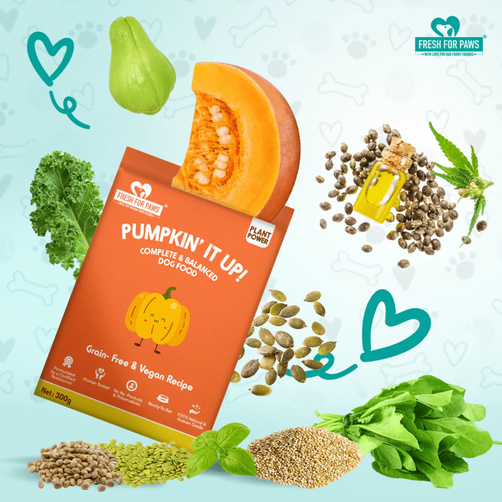 Fresh For Paws Pumpkin It Up Dog Wet Food (300g) - Image 3