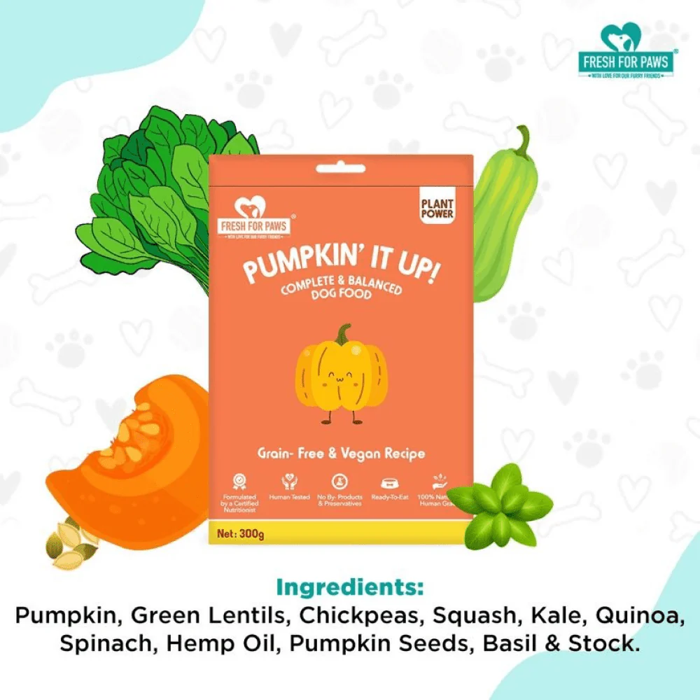 Fresh For Paws Pumpkin It Up Dog Wet Food (300g) - Image 4
