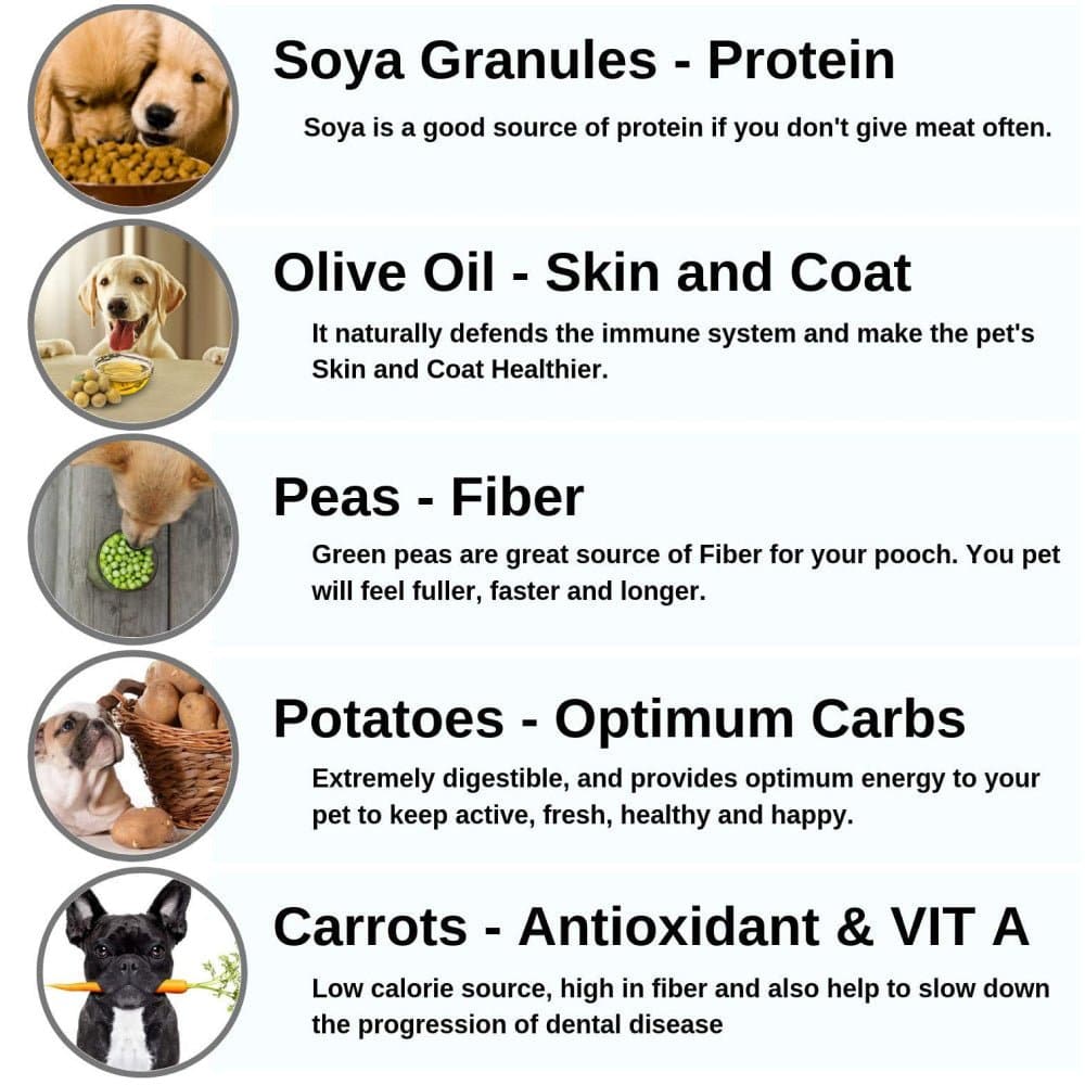Fresh For Paws Vegetable Stew & Casserole with Curcumin Vegetarian Dog Wet Food - Image 6