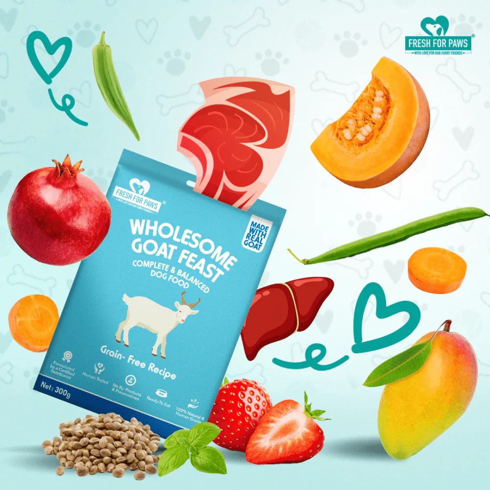 Fresh For Paws Wholesome Goat Feast Wet Food for Dogs (100g) - Image 3