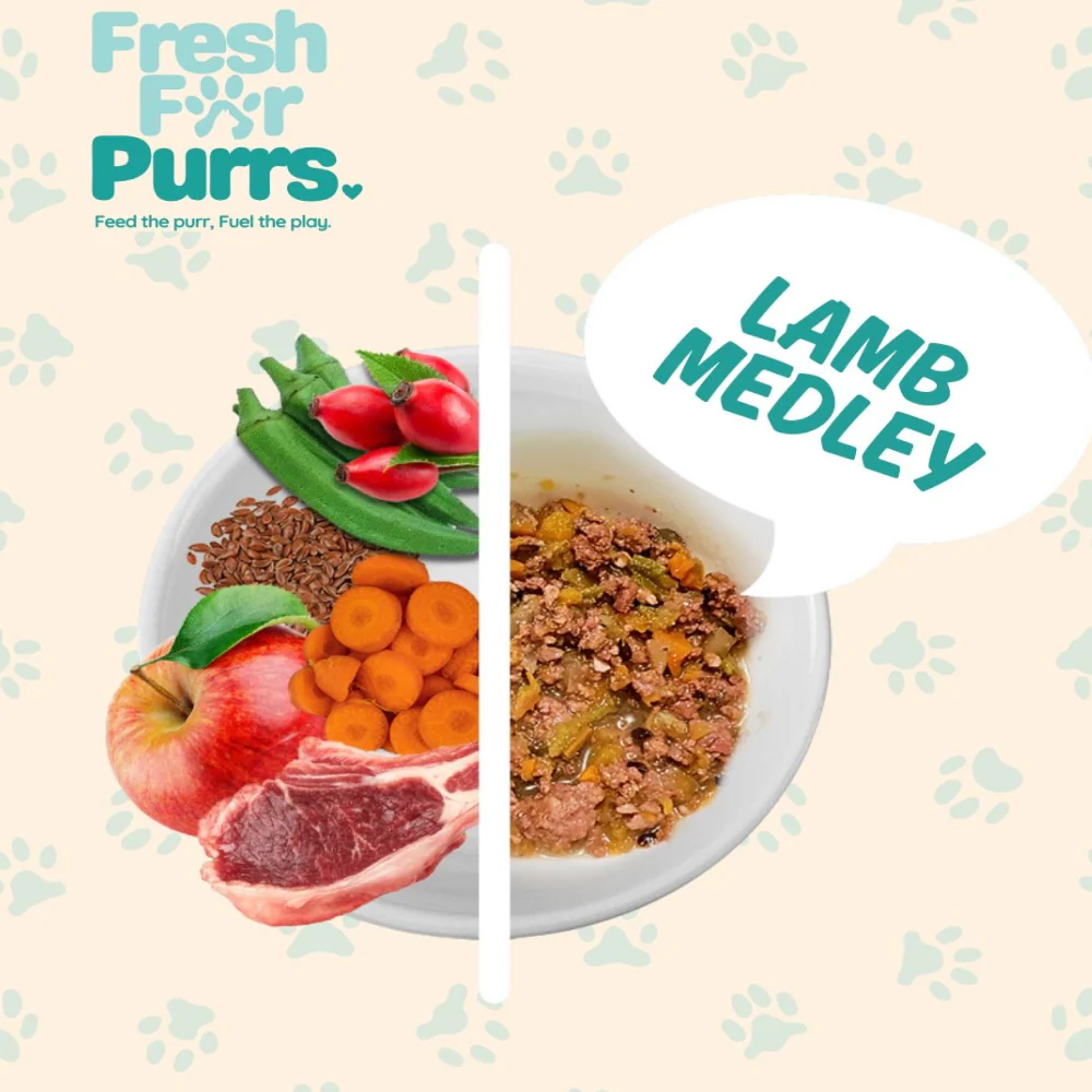 Fresh For Purrs Lamb Medley Wet Food for Cats - Image 2