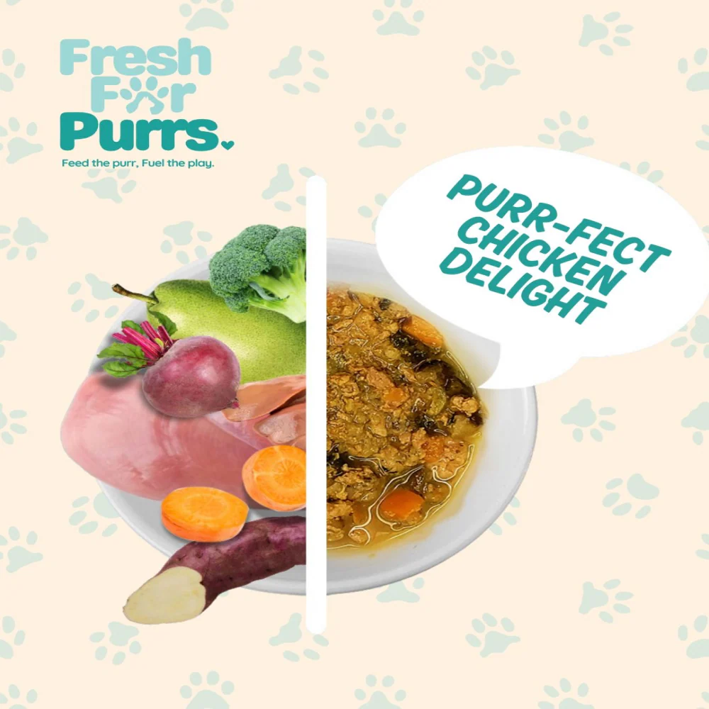 Fresh For Purrs Purrfect Chicken Delight Wet Food for Cats - Image 2