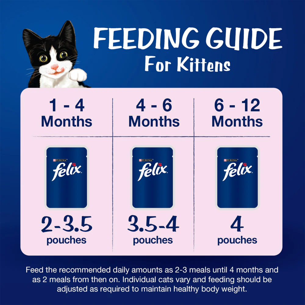 Friskies Kitten Cat Dry Food and Purina Felix Tuna with Jelly Kitten Wet Food Combo - Image 15