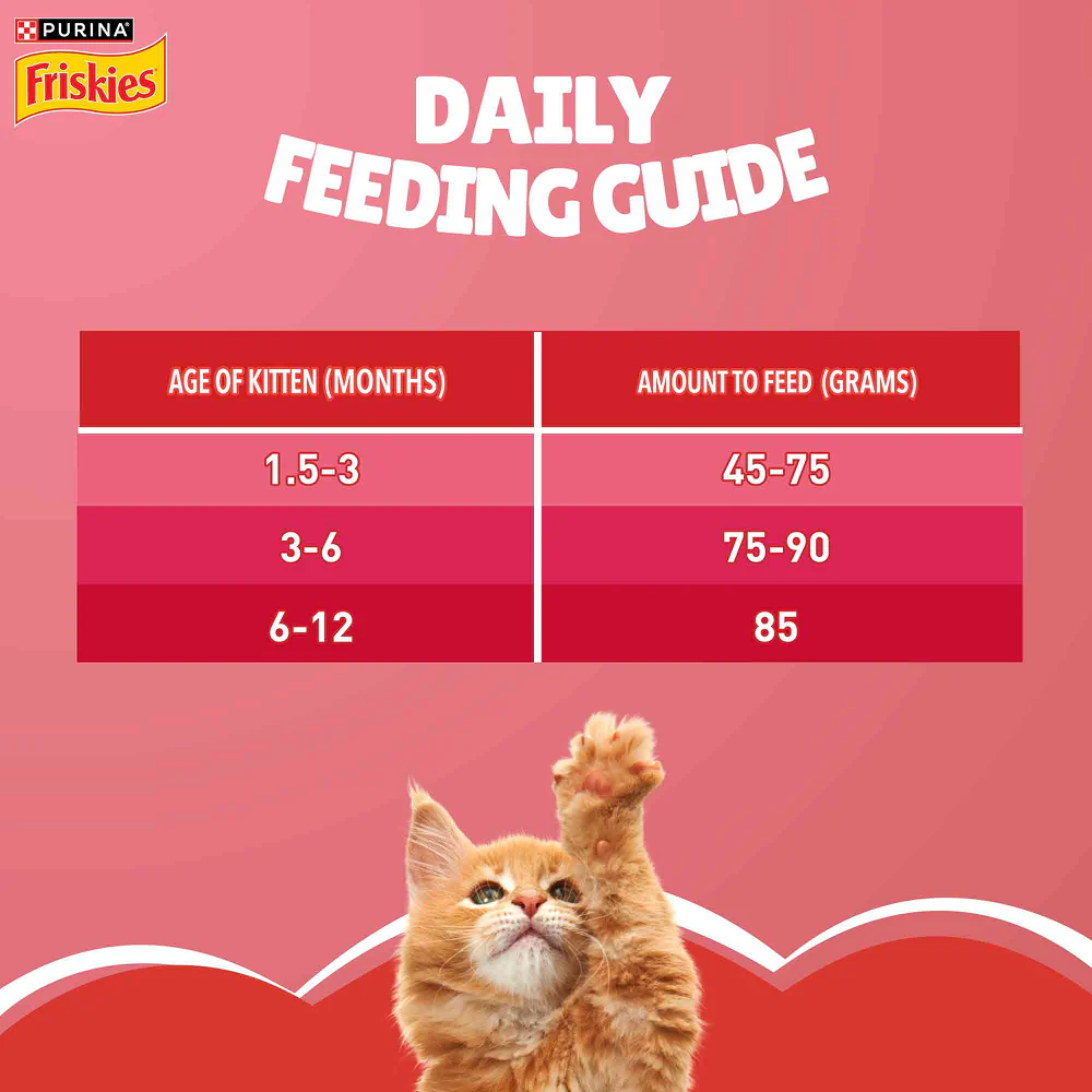 Purina Friskies Kitten Cat Dry Food - Image 5