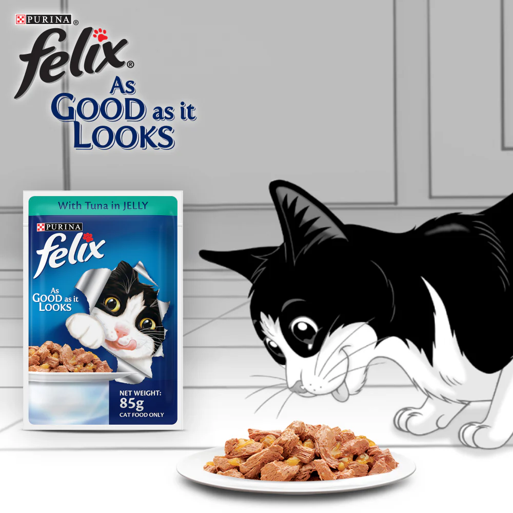 Friskies Seafood Cat Dry Food and Purina Felix Tuna with Jelly Adult Cat Wet Food Combo - Image 20