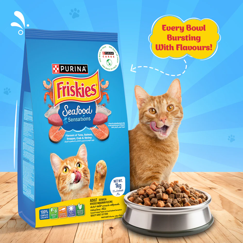 Friskies Seafood Cat Dry Food and Purina Felix Salmon with Jelly Adult Cat Wet Food Combo - Image 9