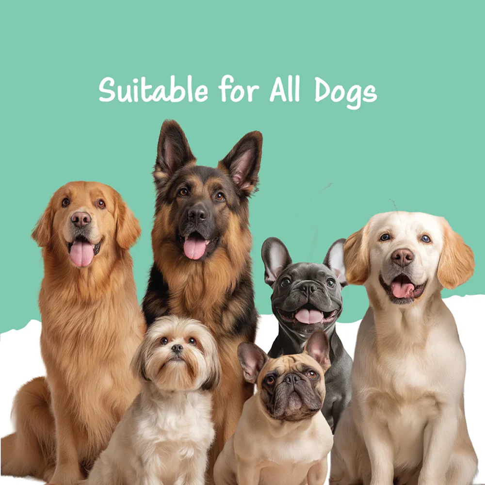 Fullr Daily Wellness Soft and Chewy Stick Treats - Image 6