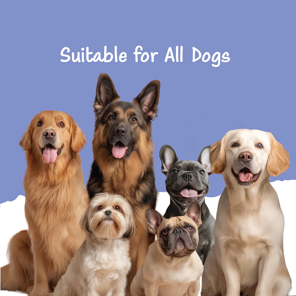 Fullr Mobility Support Soft and Chewy Stick Dog Treats - Image 6
