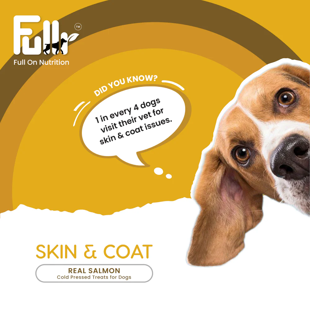 Fullr Skin and Coat Cold Pressed Dog Treats - Image 3
