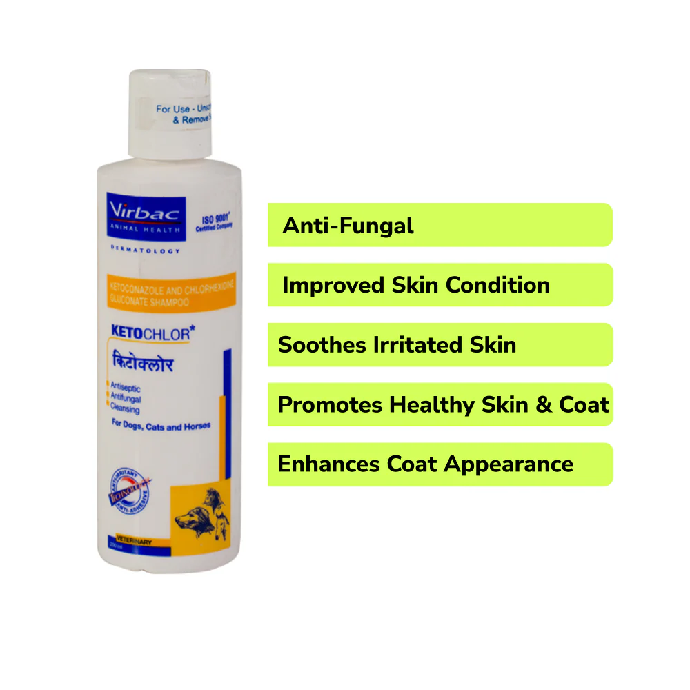 Fungal Infection Care SuperKit for Dogs and Cats - Image 6