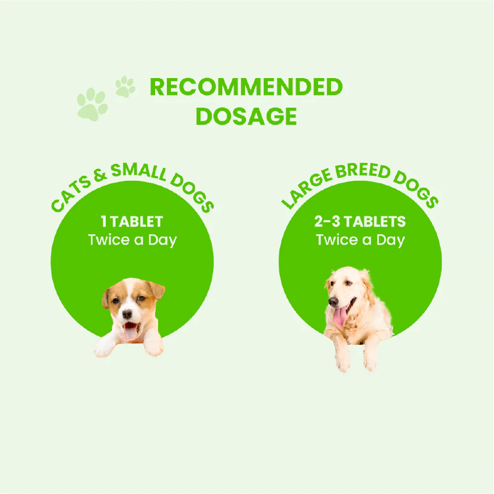 FurBall Story Calm Pet Tablet for Dogs and Cats - Image 6