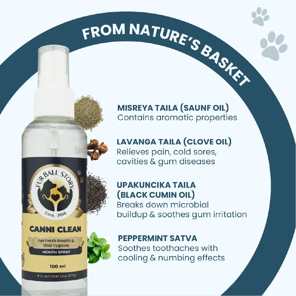 FurBall Story Canni Clean Oral Hygiene Mouth Spray for Dogs and Cats - Image 3