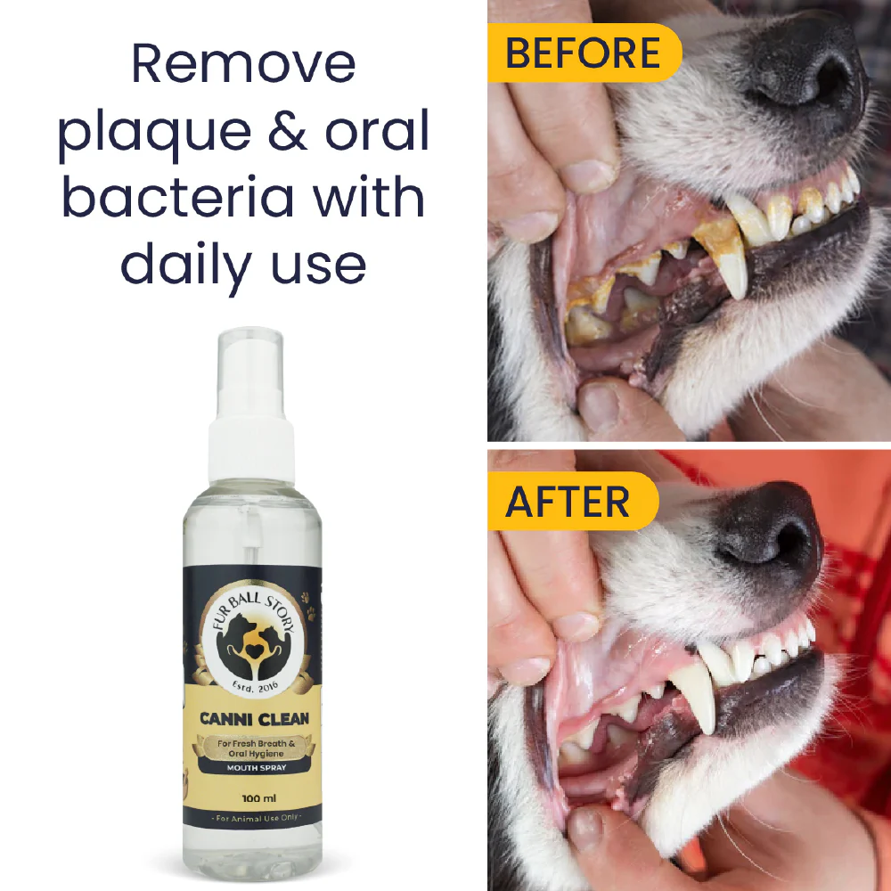 FurBall Story Canni Clean Oral Hygiene Mouth Spray for Dogs and Cats - Image 7