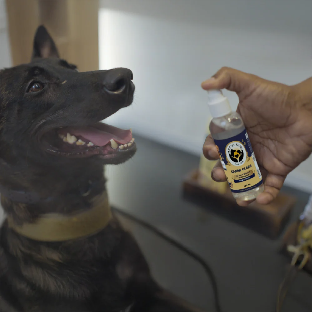 FurBall Story Canni Clean Oral Hygiene Mouth Spray for Dogs and Cats - Image 9