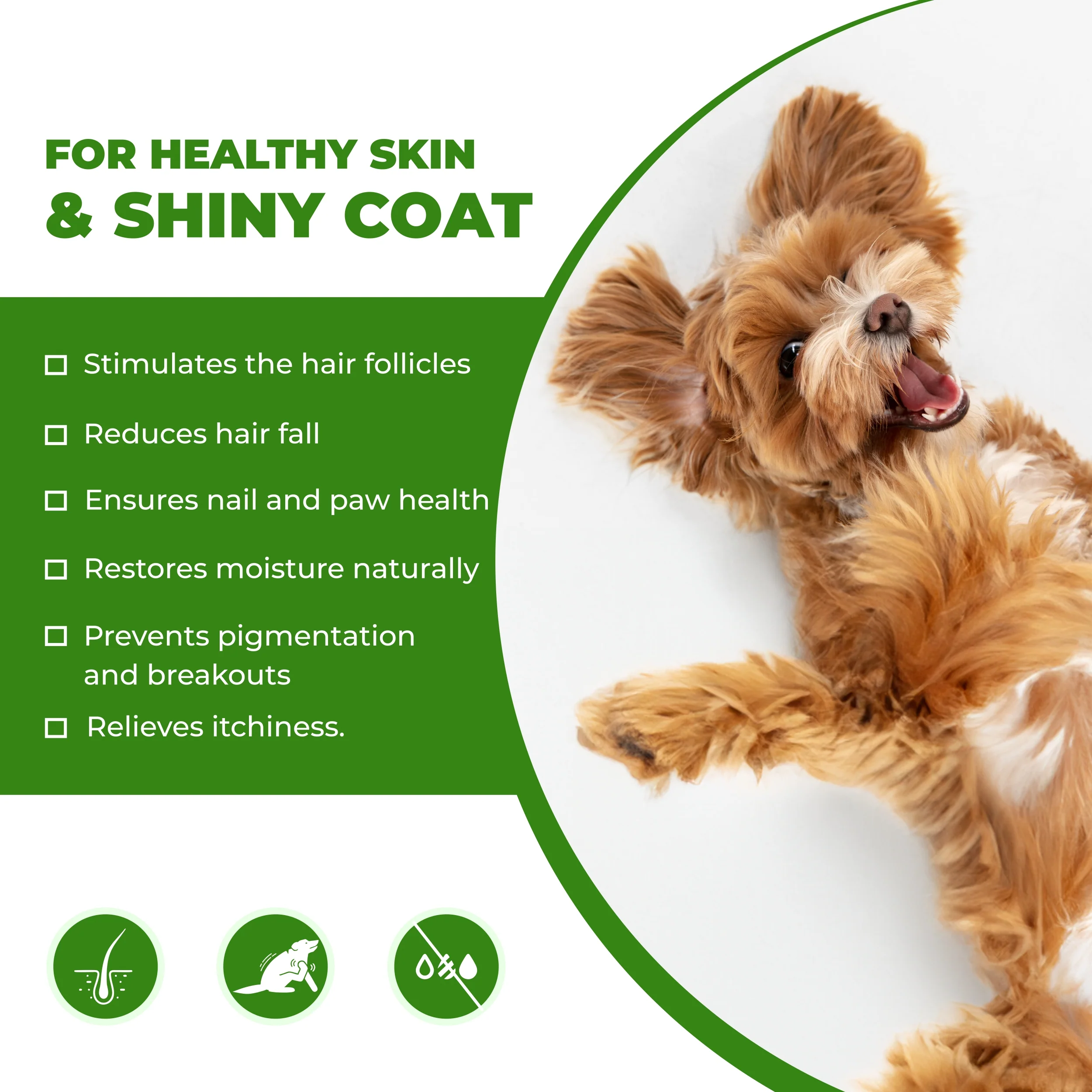 FurBall Story Cannivin Healthy Skin & Shiny Coat Spray for Dogs - Image 4