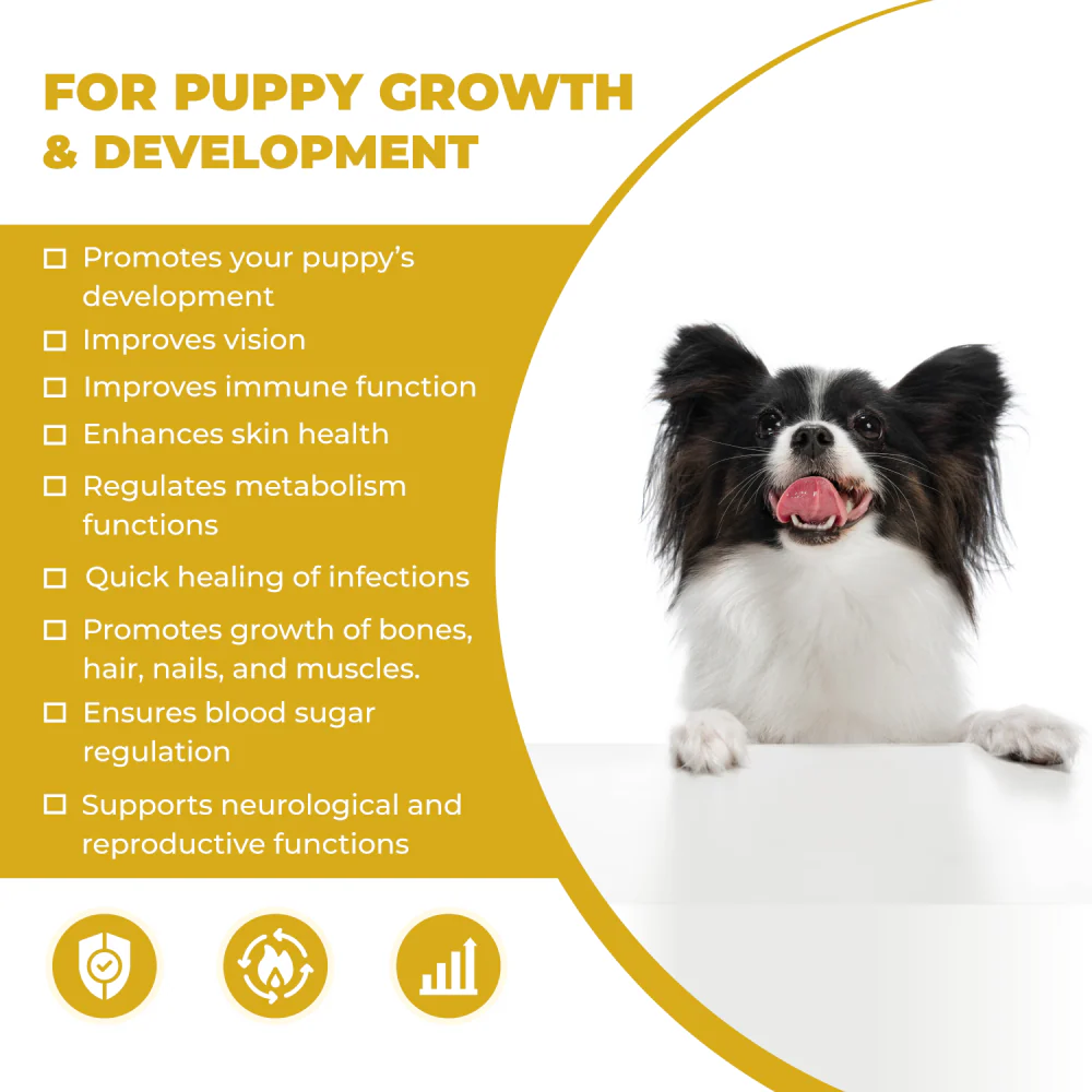 FurBall Story Cannivin Healthy Bones & Teeth Oral Nutritional Spray for Dogs - Image 3