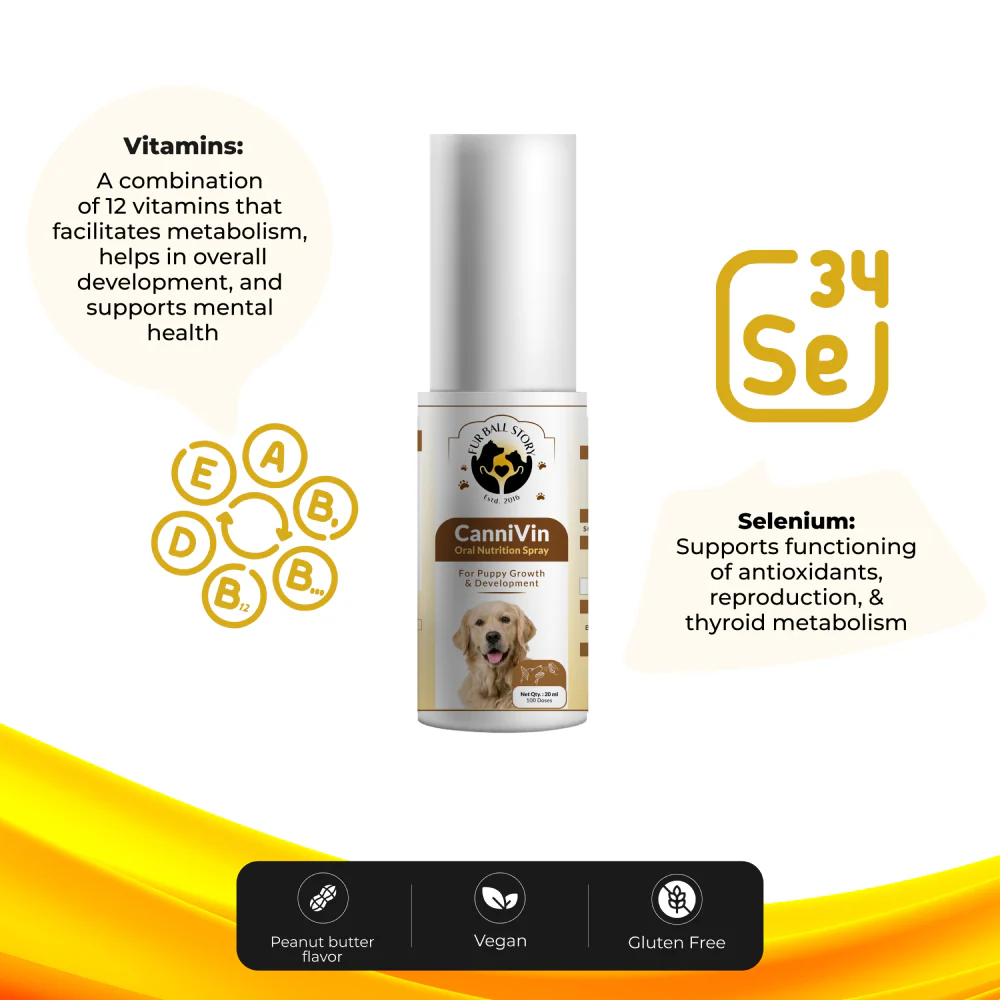 FurBall Story Cannivin Healthy Bones & Teeth Oral Nutritional Spray for Dogs - Image 4